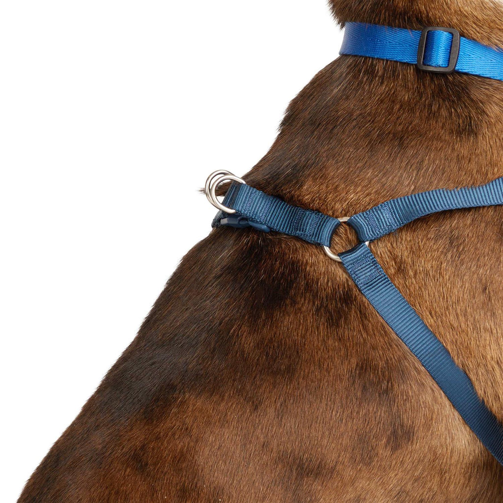 Padded Step-in Dog Harness A13614