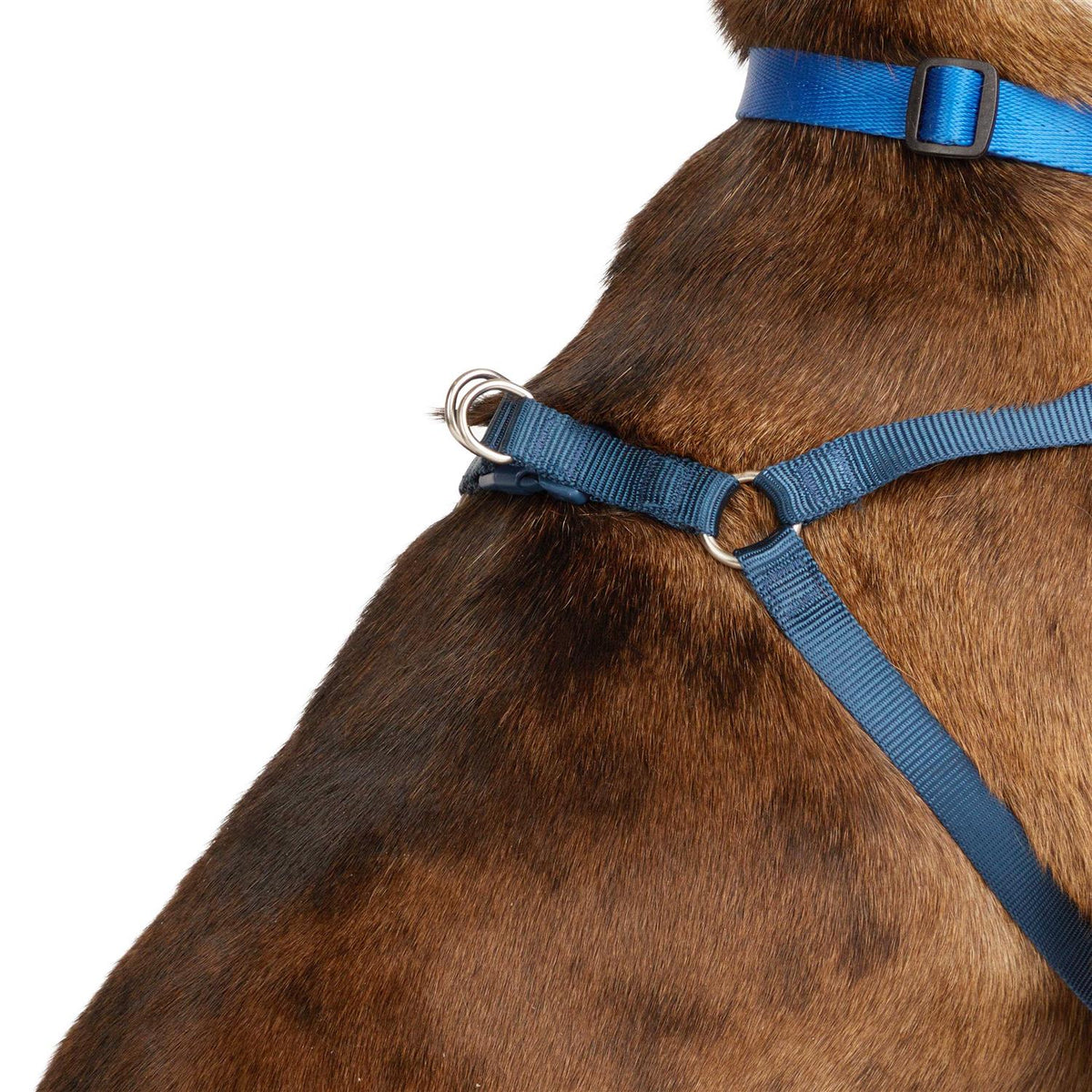 Padded Step-in Dog Harness A13614