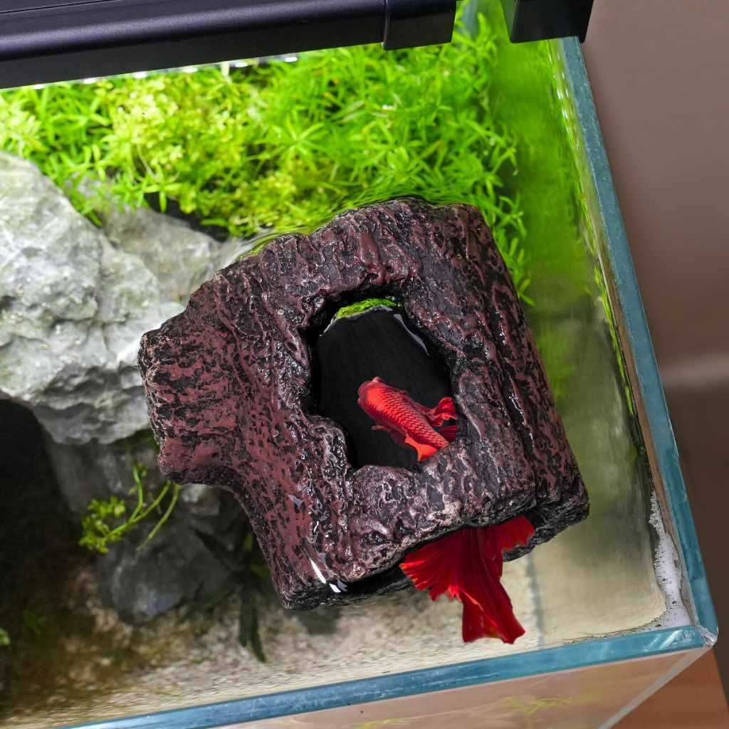 Betta Floating Log H72941