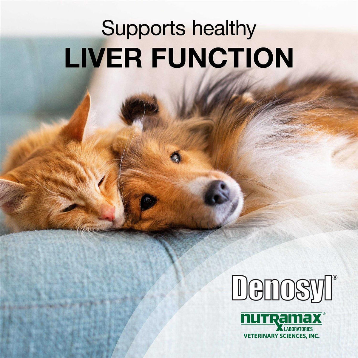 Liver and Brain Health Supplement for Small Dogs & Cats C3950