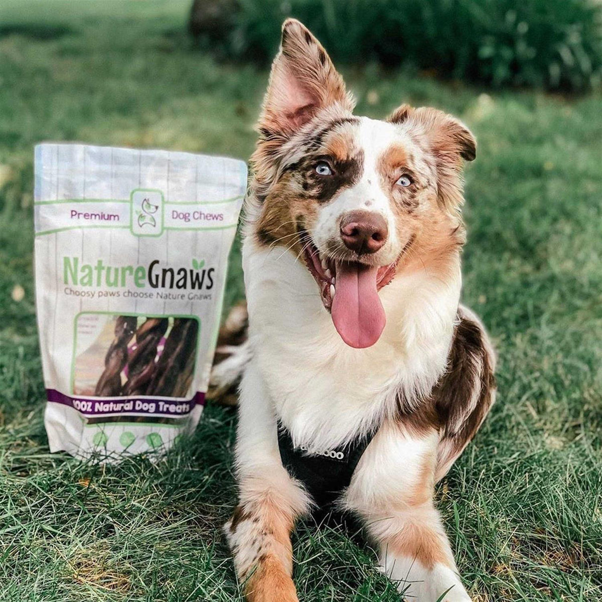 Braided Bully Sticks for Dogs Natural Beef Bones O973596