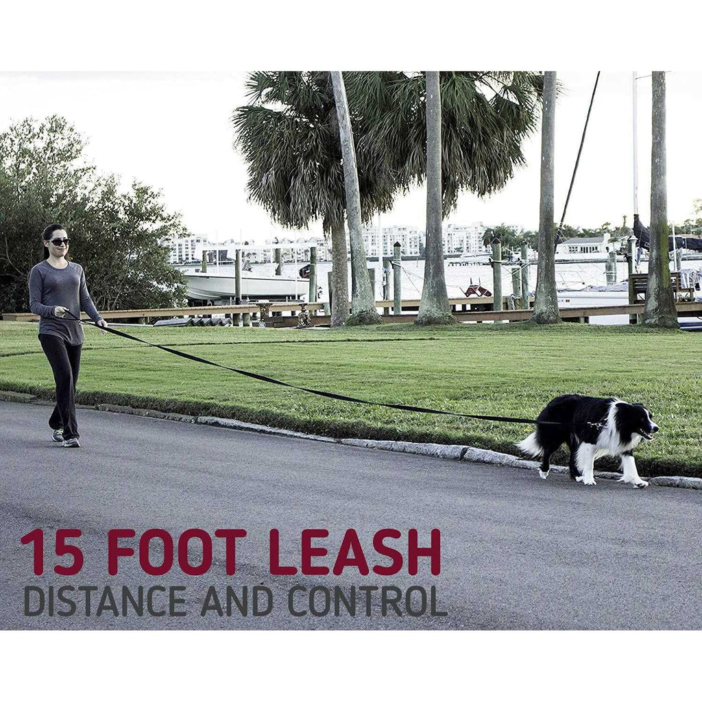 10 Foot Dog Leash with Padded Handle S1930