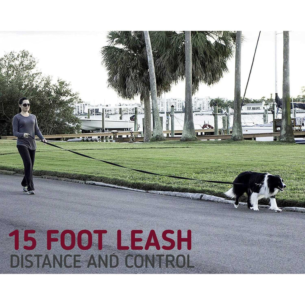 10 Foot Dog Leash with Padded Handle S1930