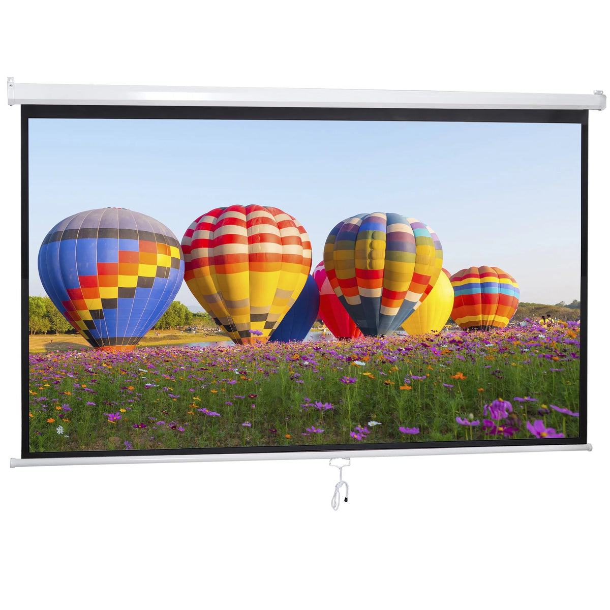 100in 16:9 Projection Screen I793