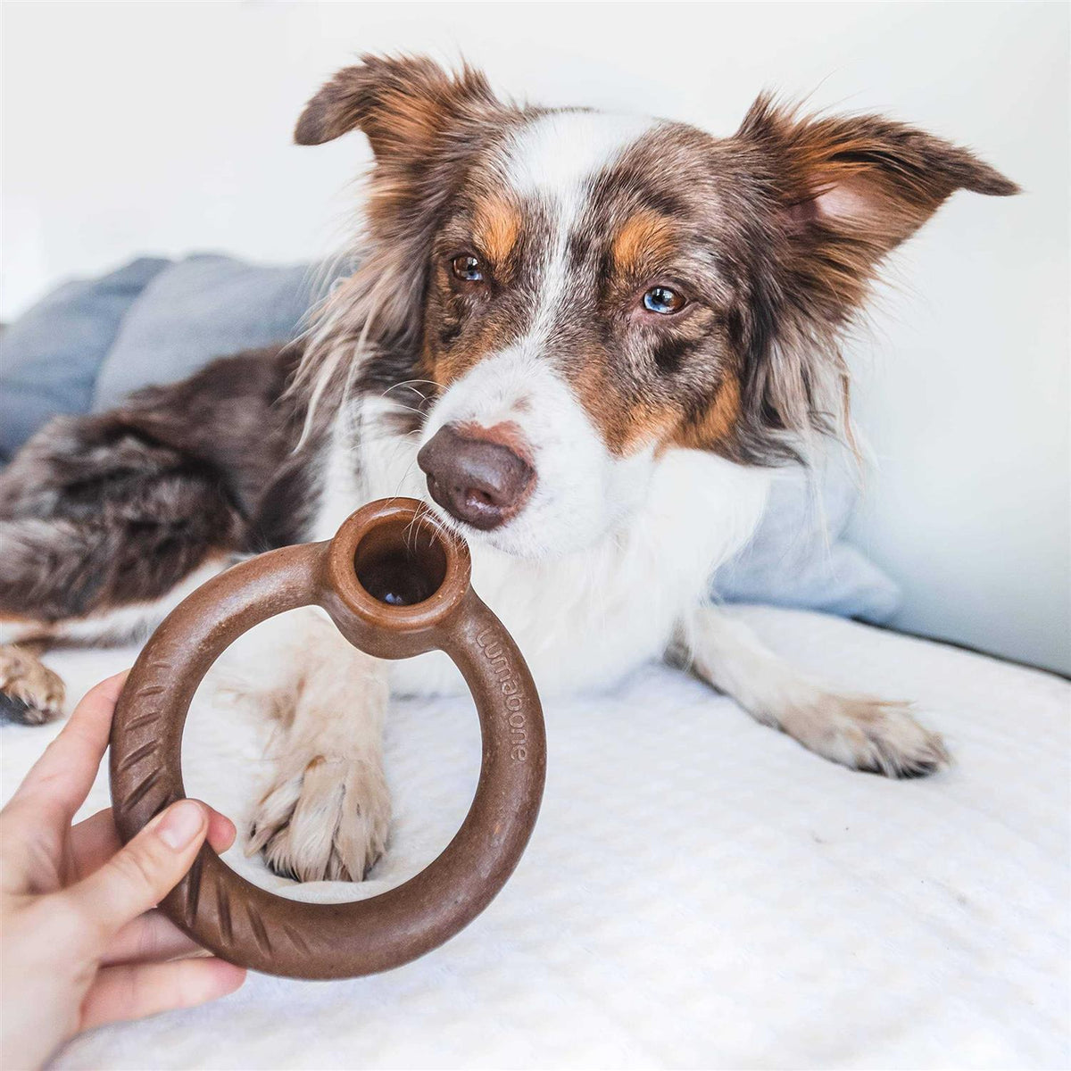 Durable Chew Toy for Aggressive Chewers R8295