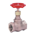 1/8 in. Globe Valve J66137