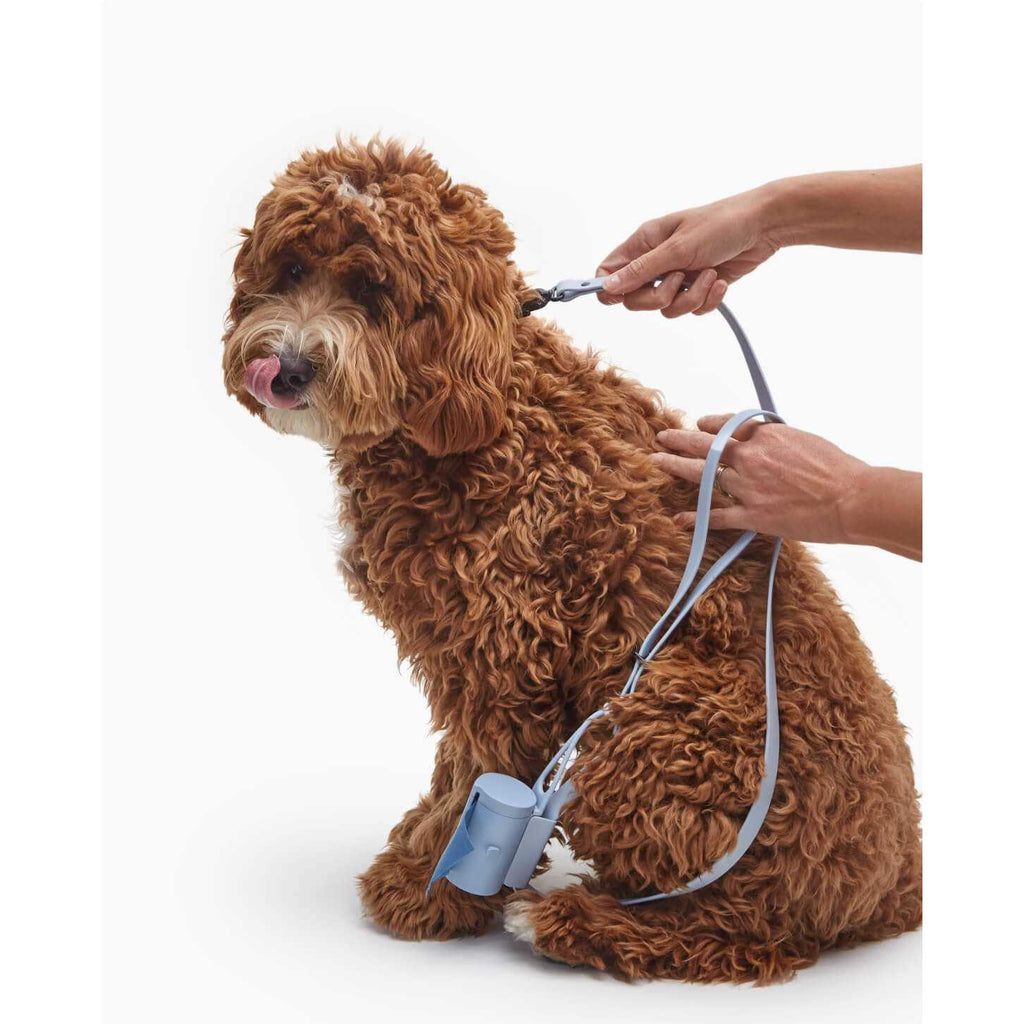 Dog Leash R48779
