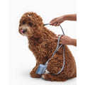 Dog Leash R48779