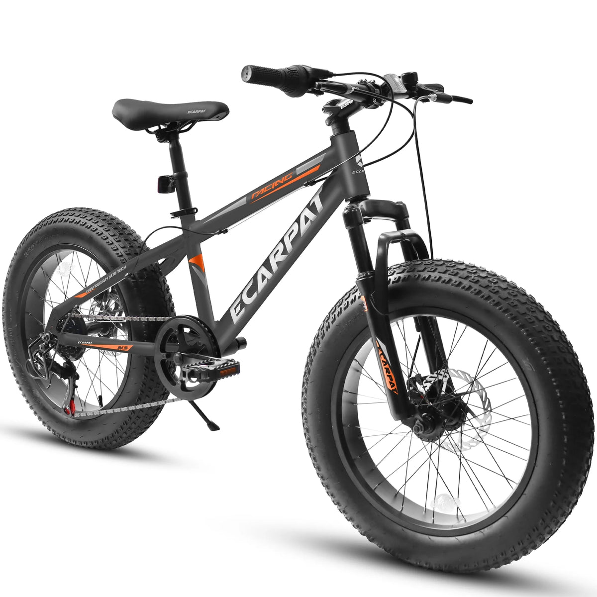 20 inch Black Fat Tire Bike with Disc Brakes 7 Speed E998884