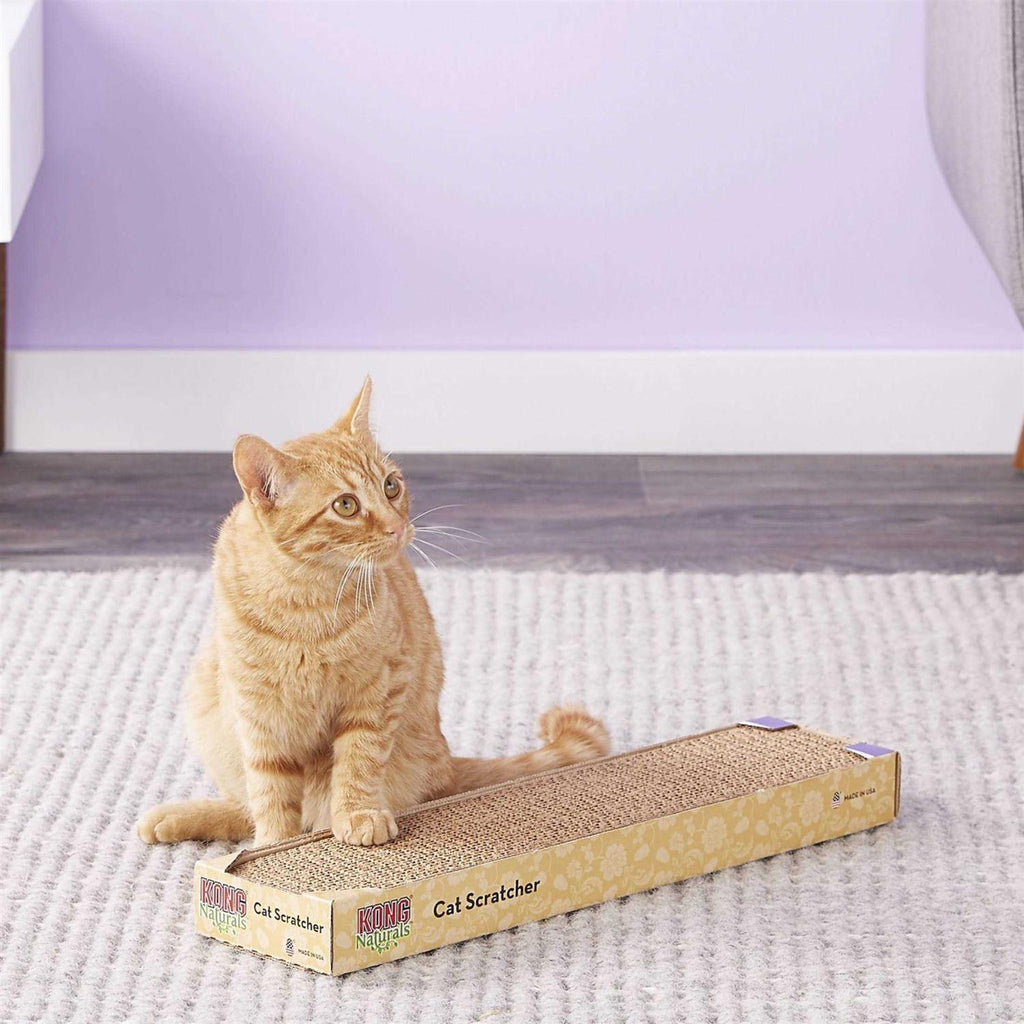 Scratcher Refill Y4551