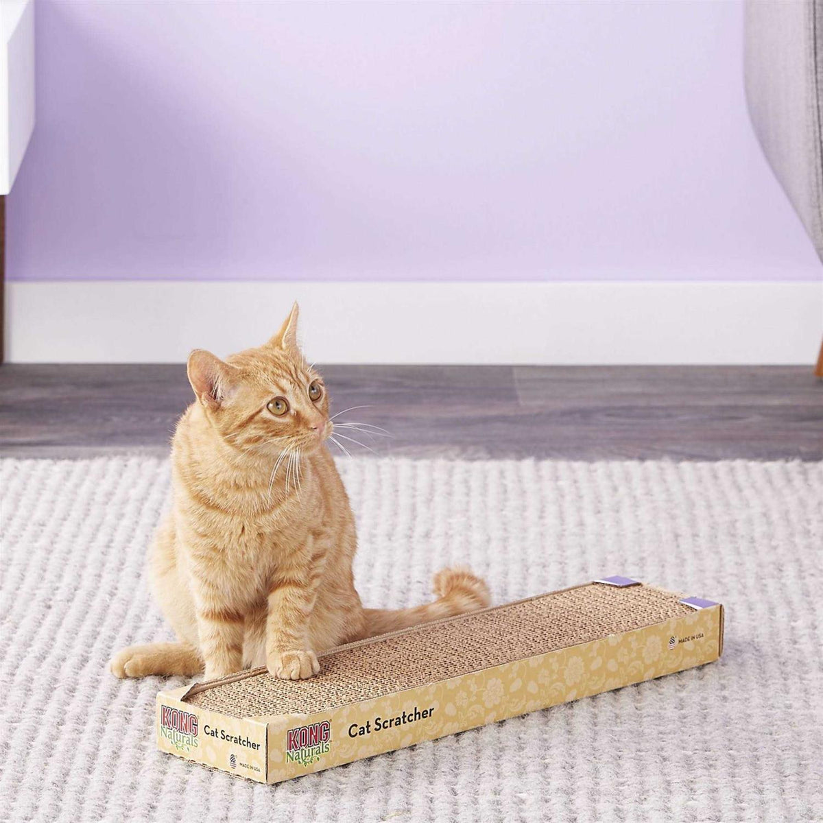 Scratcher Refill Y4551