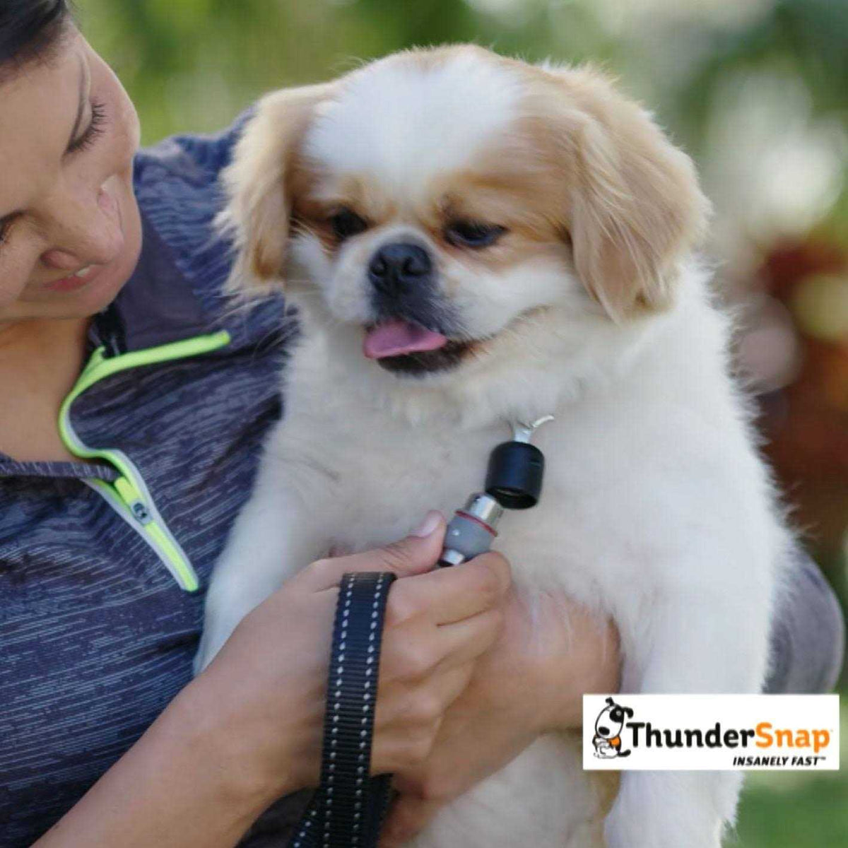 Quick-Connect Dog Leash B1696