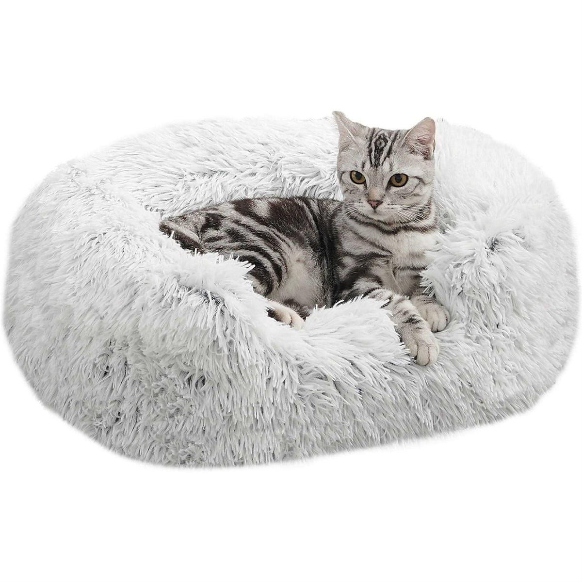Rectangular Dog Bed R381247