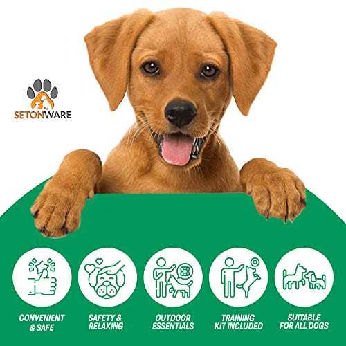 Puppy Starter Kit Dog Toys Dog Bed Blankets Grooming Tool R158