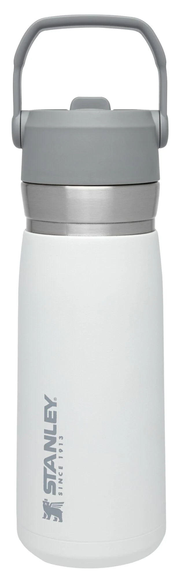 22 oz Insulated Stainless Steel Water Bottle with Straw and Flip-Top Lid Q262375