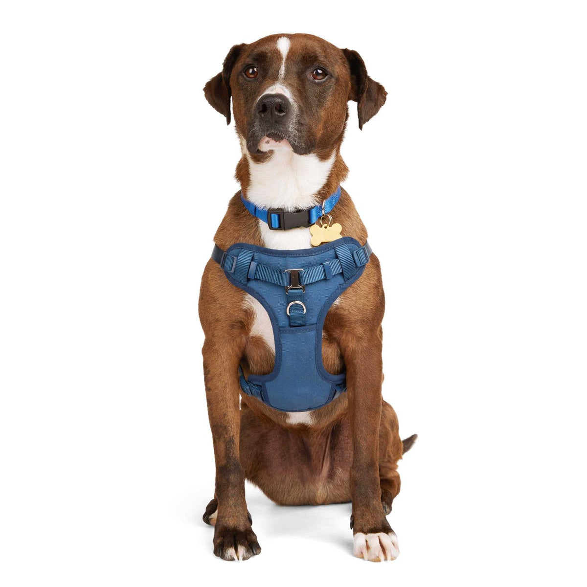 Padded Step-in Dog Harness A13614
