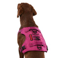 Double Handle Dog Harness I871409