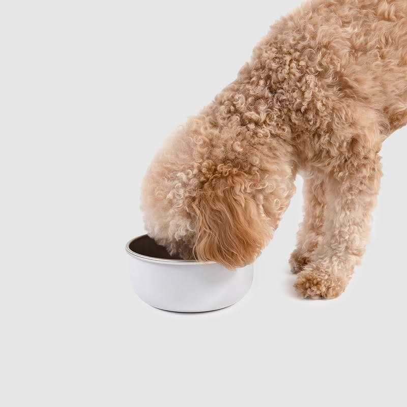 Bowl T426228