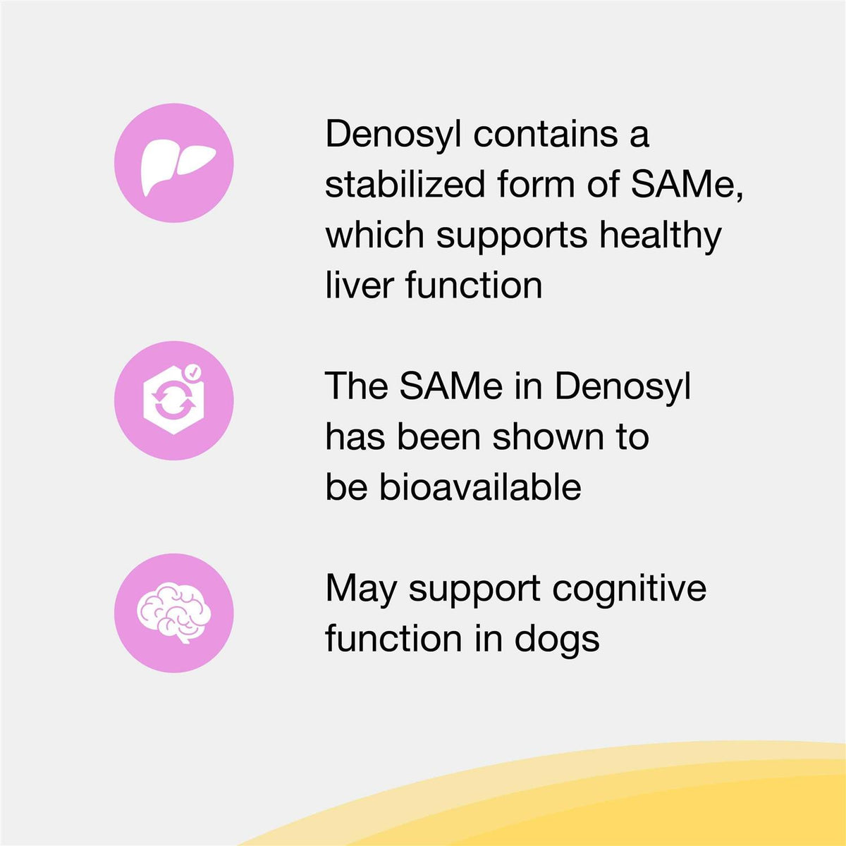 Liver and Brain Health Supplement for Small Dogs & Cats C3950