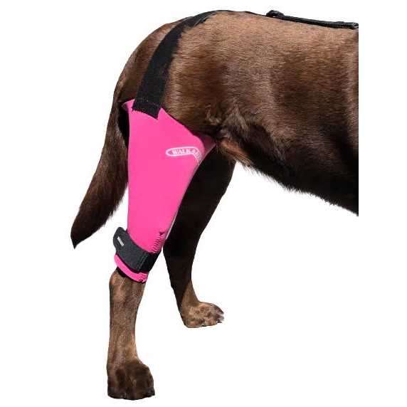 Dog & Cat Knee Brace A556