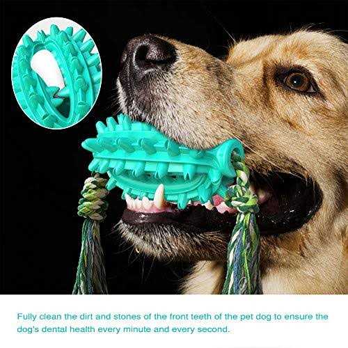 Toothbrush Dog Chew Toy T722