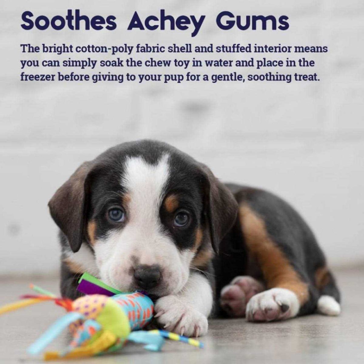 Cool Teething Stick Dog Toy D908433