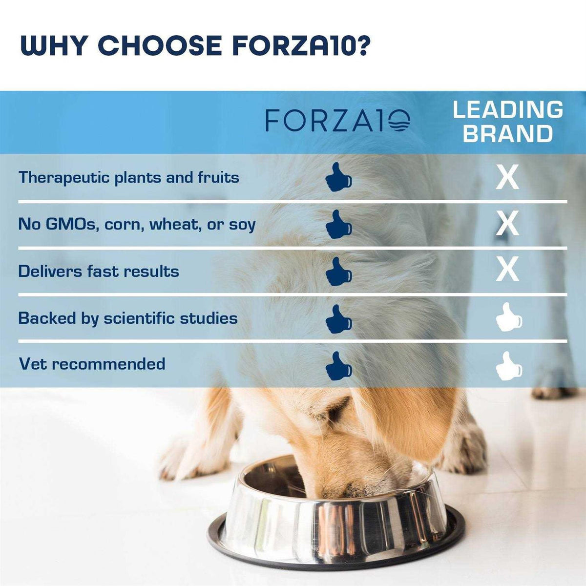 Grain-Free Dry Dog Food P668