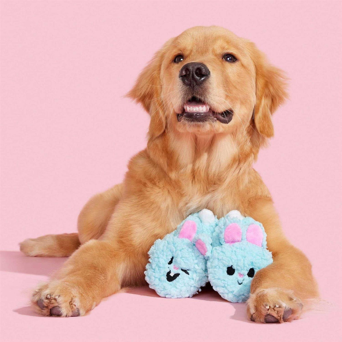 Plush Dog Toys with Squeakers and Crinkle H757