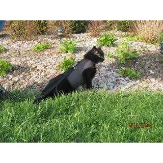 Cat Harness T4640