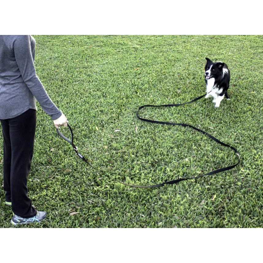 10 Foot Dog Leash with Padded Handle S1930