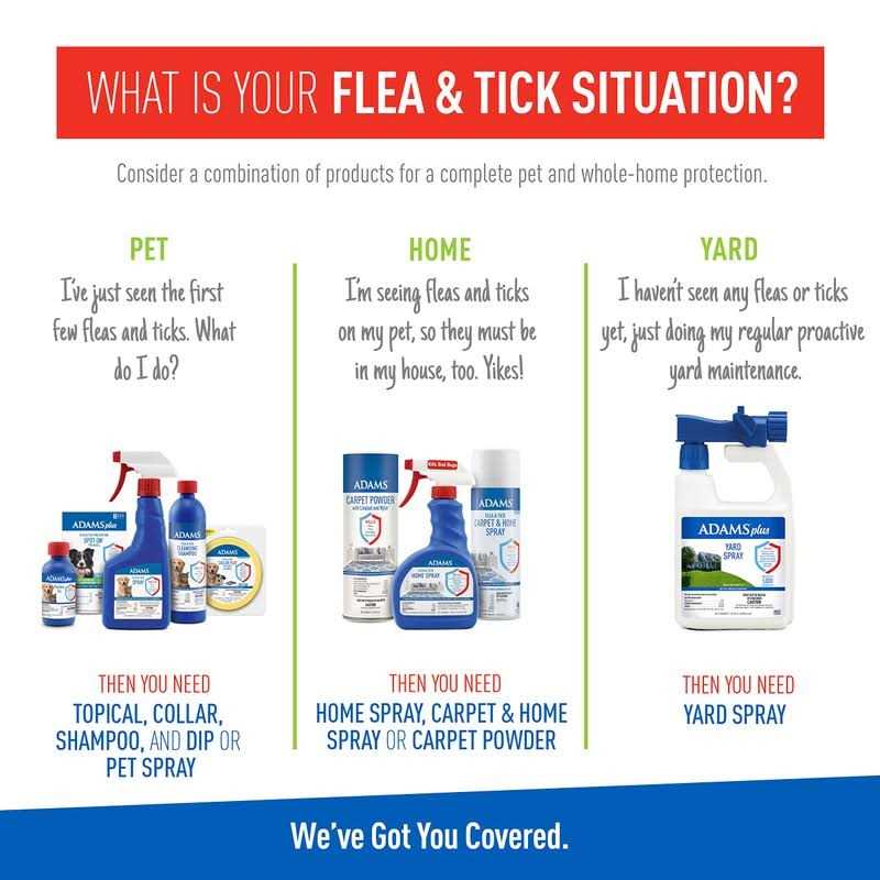 Flea Tick Shampoo R5756
