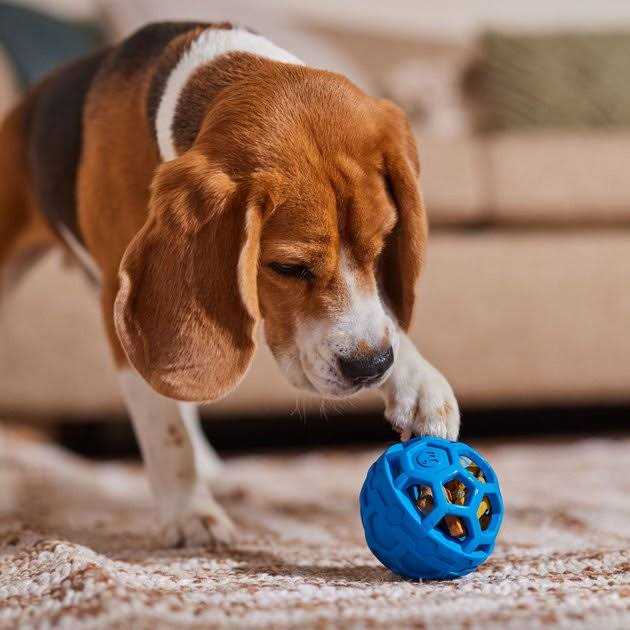 Dog Toy C9509