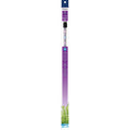 Blue LED Lamp L604653