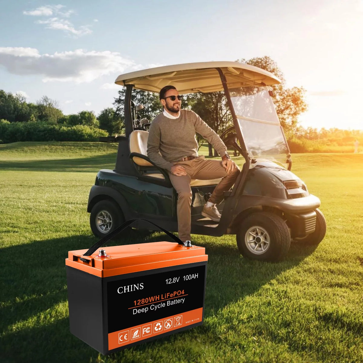 12V 100AH LiFePO4 Lithium Battery N39034