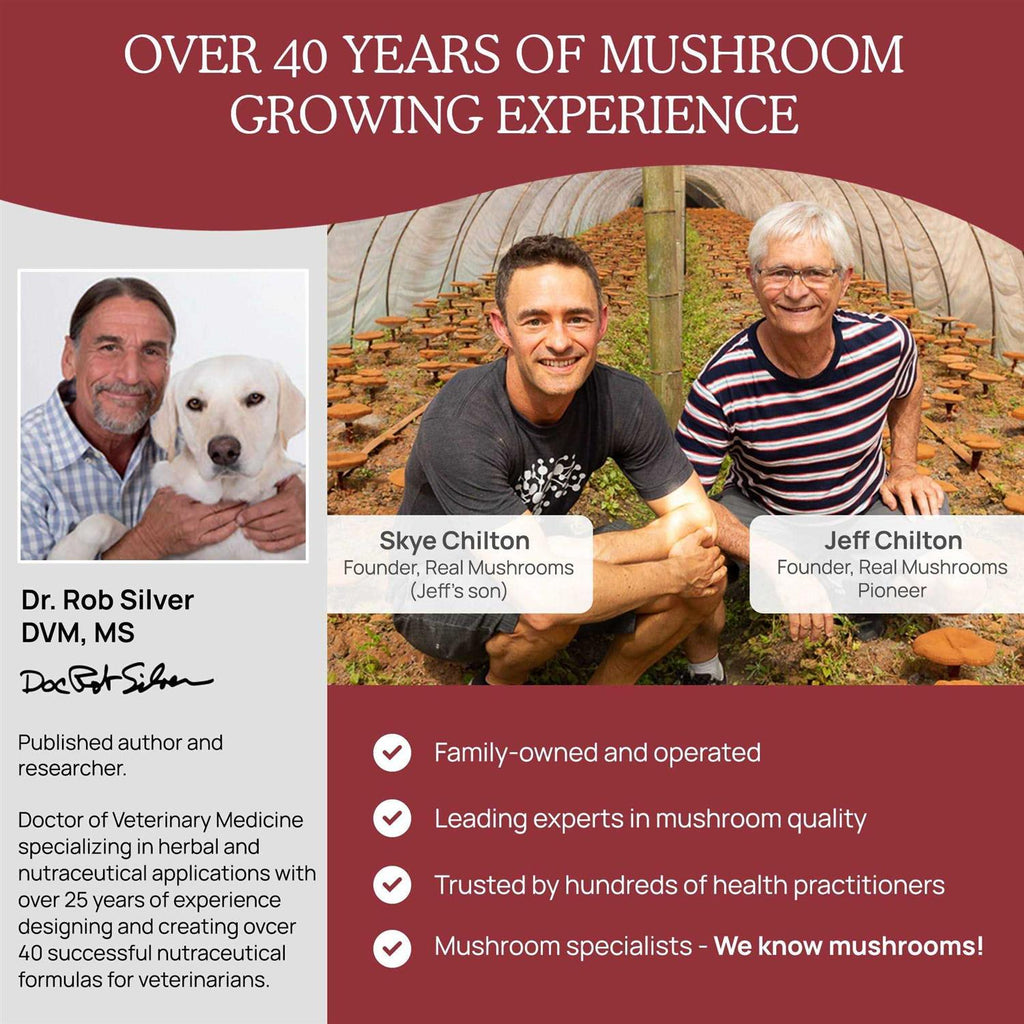 Mushroom Relax Pet Chew I7446