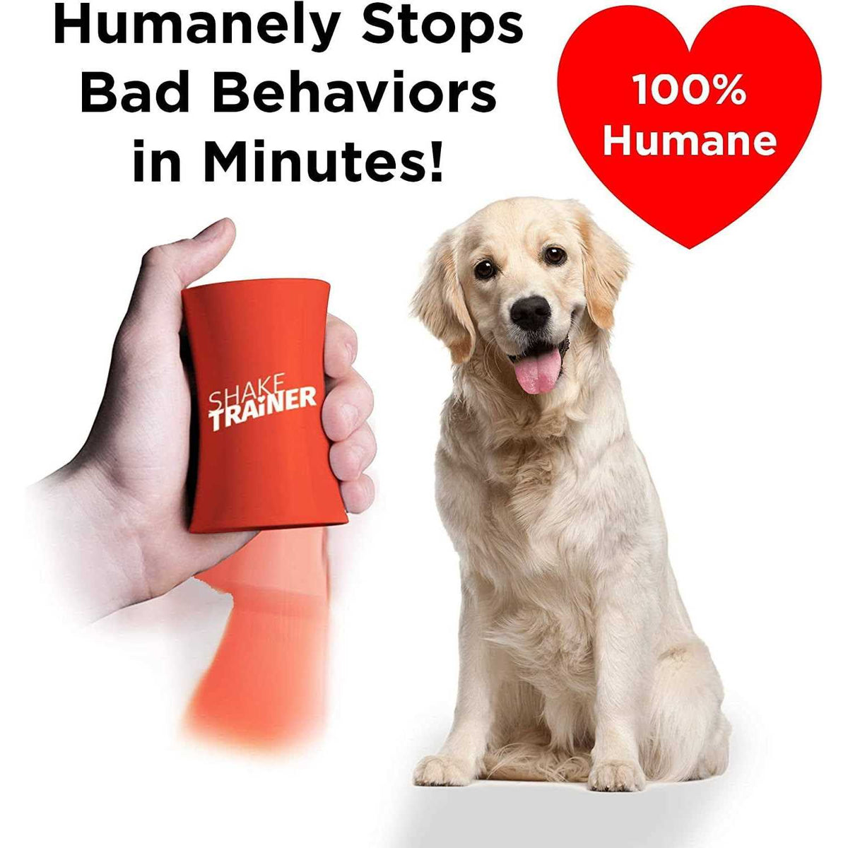 Dog Training Kit A43580