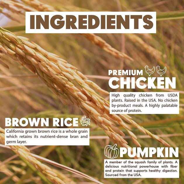 Chicken Brown Rice & Pumpkin Dry Dog Food H89728