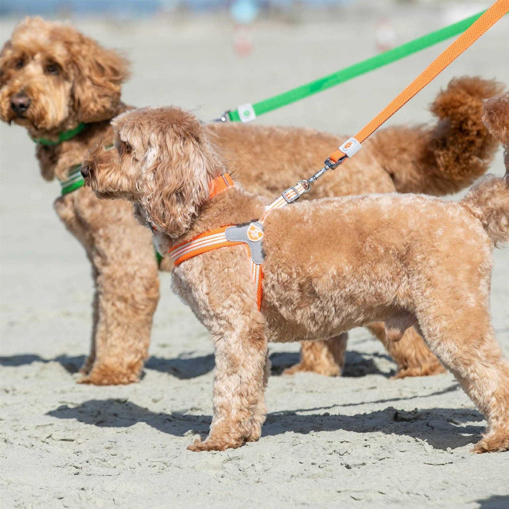 Dog Harness V8400