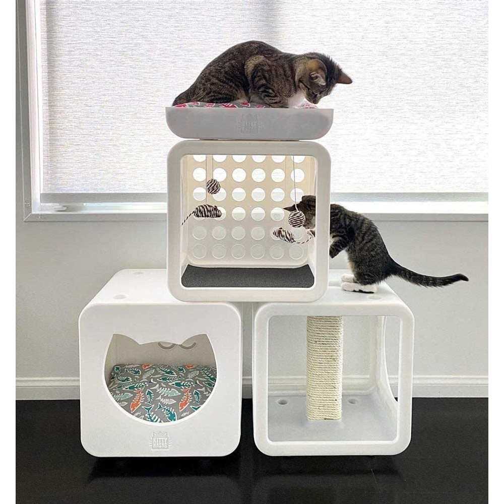 Cat House U367718
