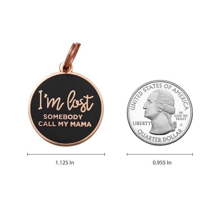 Rose Gold & Navy Pet ID Tag J6216