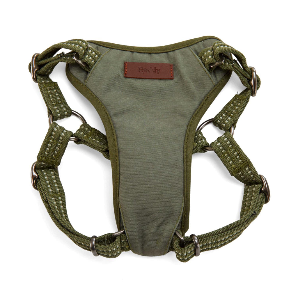 Small Dog Harness M613050