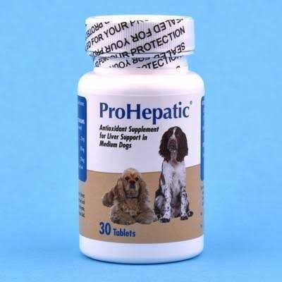 Liver Support Chewable Tablets Dogs J442417